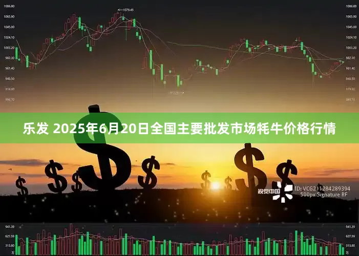 乐发 2025年6月20日全国主要批发市场牦牛价格行情